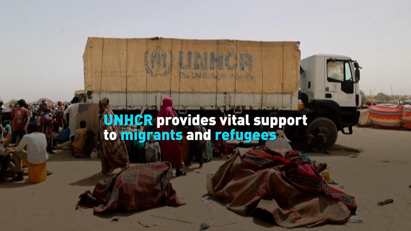 UN at 80: UNHCR's Lifeline for Migrants & Refugees in Latin America 🌎 video poster