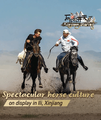 Ili’s Heavenly Horses Shine at Tianma Culture Park Ili’s Heavenly Horses Shine at Tianma Culture Park video poster