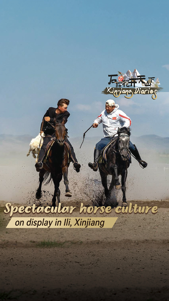 UMHHQALBRR42W9MBX1EX - Namaste Headlines Ili’s Heavenly Horses Shine at Tianma Culture Park video poster