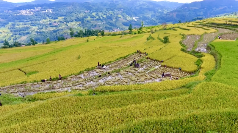 V0L9LX0VTBK4Y8IT0QO0 - Namaste Headlines 4 Ancient Chinese Irrigation Sites Join World Heritage List 🌾💧 video poster