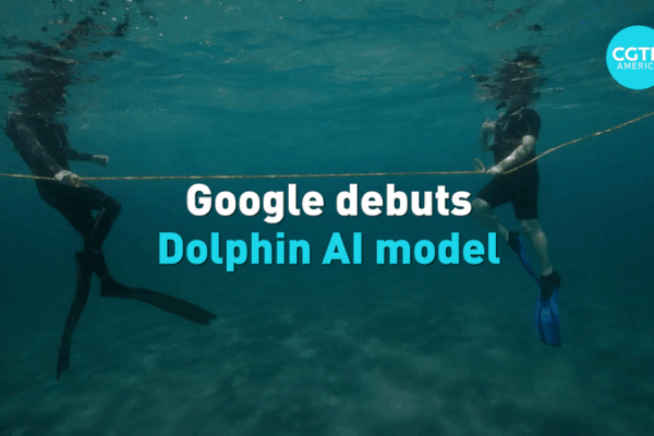 Google’s DolphinGemma: AI Learns Dolphin Language 🐬 Google's DolphinGemma: AI Learns Dolphin Language 🐬 video poster