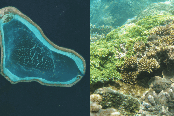 Hainan’s Huangyan Dao Reserve: Safeguarding 3,500+ Hectares of Coral Reefs Hainan’s Huangyan Dao Reserve: Safeguarding 3,500+ Hectares of Coral Reefs