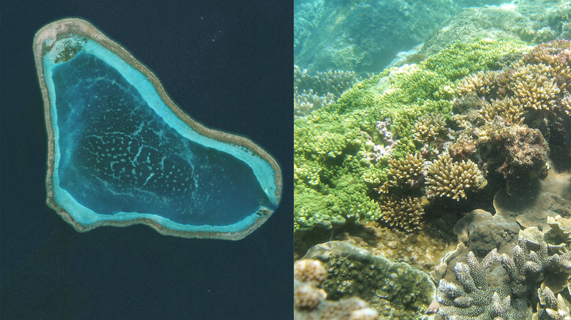 W6GW75BRYHGZ03MLM0JQ - Namaste Headlines Hainan’s Huangyan Dao Reserve: Safeguarding 3,500+ Hectares of Coral Reefs