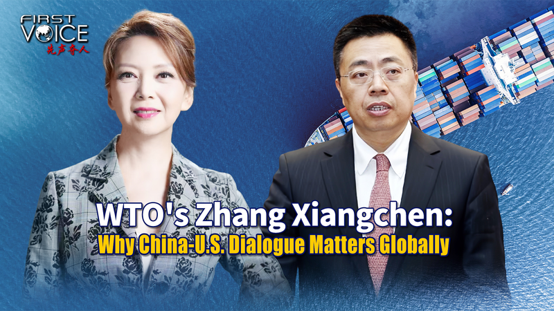 WTO_s_Zhang__Why_Chinese_mainland_U_S__Trade_Talks_Matter_Globally video poster