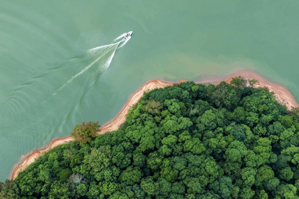Chinese Mainland Advances Draft Environmental Code 🌱 Chinese Mainland Advances Draft Environmental Code 🌱