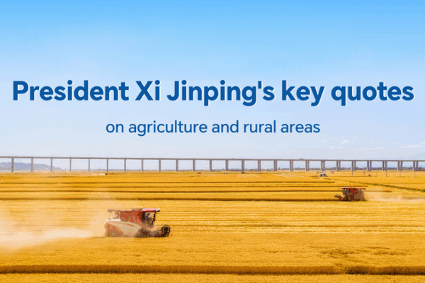 Xi Jinping Emphasizes Food Security & Rural Revitalization at Farmers’ Harvest Festival Xi_Jinping_Emphasizes_Food_Security___Rural_Revitalization_at_Farmers__Harvest_Festival