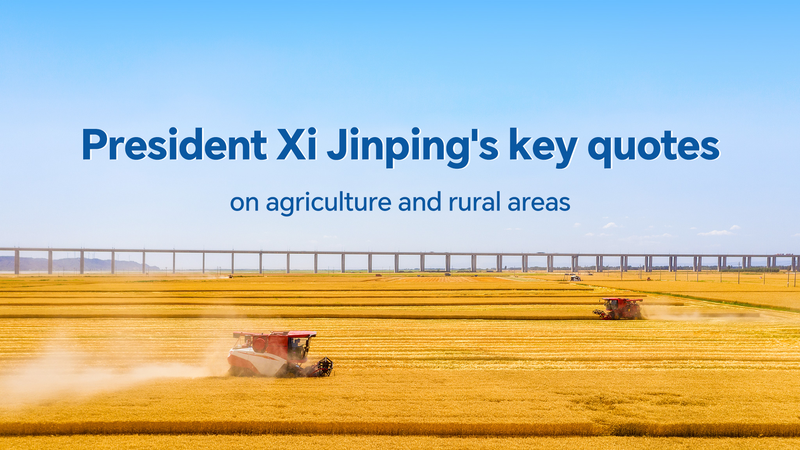 Xi_Jinping_Emphasizes_Food_Security___Rural_Revitalization_at_Farmers__Harvest_Festival - Namaste Headlines Xi_Jinping_Emphasizes_Food_Security___Rural_Revitalization_at_Farmers__Harvest_Festival