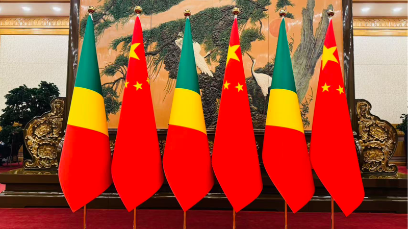 Xi_Jinping_Meets_Congo_President_Sassou_Nguesso_in_Beijing