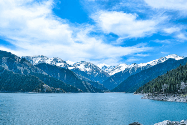 Xinjiang Color Palette: Serene Vibes at Tianchi Lake Xinjiang_Color_Palette__Serene_Vibes_at_Tianchi_Lake