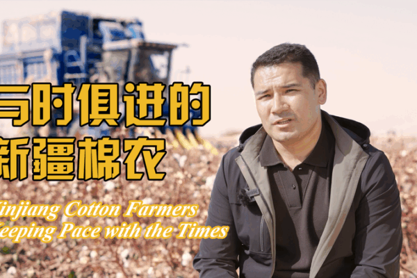 Xinjiang Cotton Farmers Embrace New Tech for Growth Xinjiang_Cotton_Farmers_Embrace_New_Tech_for_Growth video poster