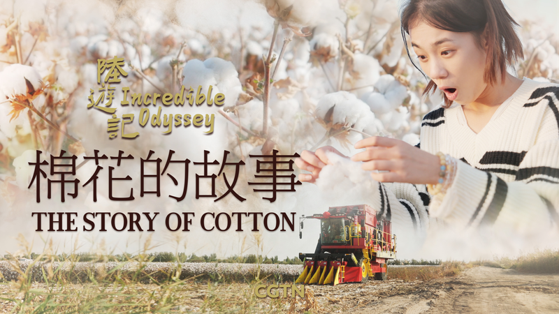 Xinjiang_Cotton__Beyond_Controversy__A_Story_of_Resilience video poster
