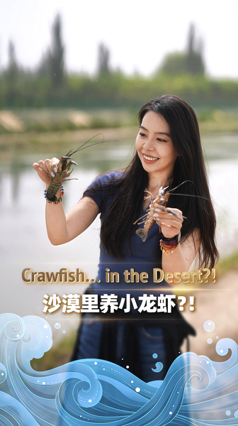 Xinjiang_Desert_Crawfish_Dive_into_Mid_Autumn_Celebrations_poster - Namaste Headlines Xinjiang_Desert_Crawfish_Dive_into_Mid_Autumn_Celebrations video poster