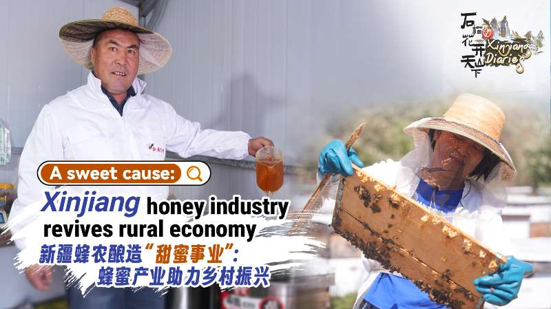 Xinjiang_Honey_Buzz__How_Black_Bees_Are_Sweetening_Rural_Lives_poster - Namaste Headlines Xinjiang_Honey_Buzz__How_Black_Bees_Are_Sweetening_Rural_Lives video poster