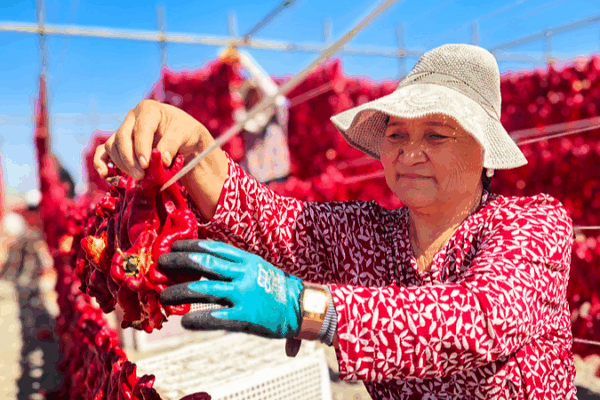 Xinjiang in Its Brightest Era: White Paper Highlights Unprecedented Growth Xinjiang_in_Its_Brightest_Era__White_Paper_Highlights_Unprecedented_Growth