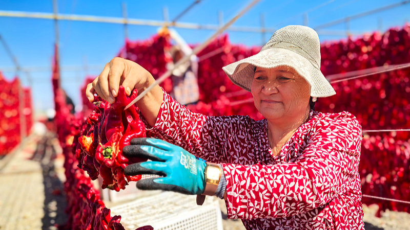 Xinjiang_in_Its_Brightest_Era__White_Paper_Highlights_Unprecedented_Growth