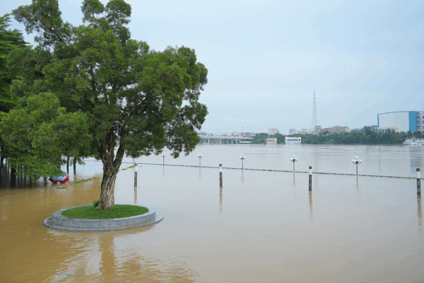 Chinese Mainland Allocates ¥940M for Flood-hit Regions and Farm Recovery Chinese Mainland Allocates ¥940M for Flood-hit Regions and Farm Recovery