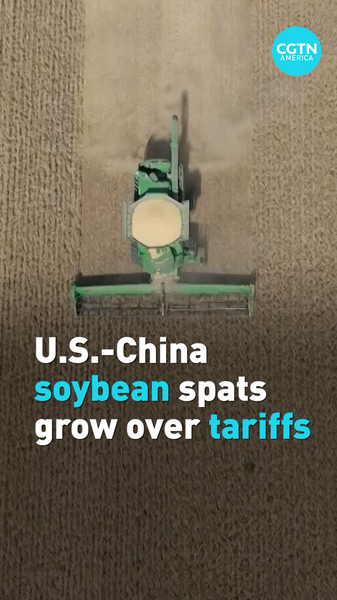 US-China Soybean Spat: Farmers Brace for Tariff Fallout 🚜🌱 video poster