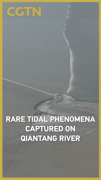 Epic Qiantang Tidal Show: Tree-Shaped Flats, One-Line Tide & Crossing Waves 🌊 video poster