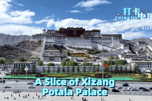 Lhasa’s Iconic Potala Palace: Locals Spill Their First Impressions Lhasa’s Iconic Potala Palace: Locals Spill Their First Impressions video poster