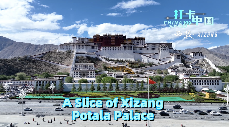 1216FLYJXAQSE48DWWX4 - Namaste Headlines Lhasa’s Iconic Potala Palace: Locals Spill Their First Impressions video poster