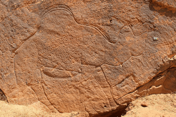12,000-Year-Old Camel Rock Art Reveals Ancient Desert Water Maps 12_000_Year_Old_Camel_Rock_Art_Reveals_Ancient_Desert_Water_Maps