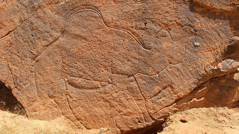 12_000_Year_Old_Camel_Rock_Art_Reveals_Ancient_Desert_Water_Maps - Namaste Headlines 12_000_Year_Old_Camel_Rock_Art_Reveals_Ancient_Desert_Water_Maps