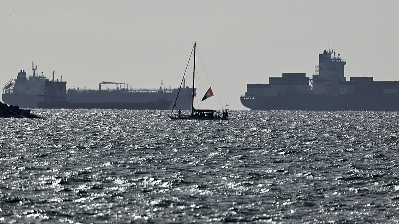 137_Gaza_Flotilla_Activists_Back_in_Istanbul_After_Detention