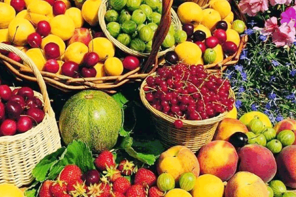Hainan Free Trade Port Supercharges Tropical Agri-Exports 🚀 Hainan Free Trade Port Supercharges Tropical Agri-Exports 🚀