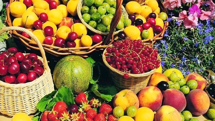 3HTHYQKWIZ32OFSKJQBW - Namaste Headlines Hainan Free Trade Port Supercharges Tropical Agri-Exports 🚀