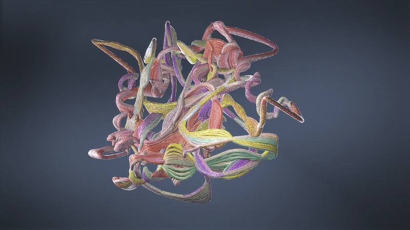 42XLAL50UOU9SLQM5U5G - Namaste Headlines How AI Cracked Echolocation’s Convergent Evolution in Bats & Whales