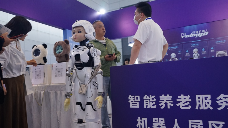 Beijing-Tianjin-Hebei's Elderly Care Revamp Brings Jobs & Skills 💪