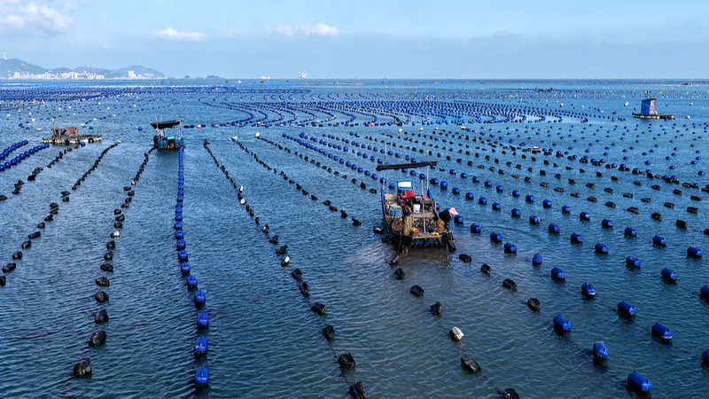 AB669IN9YMV6I65KMU2S - Namaste Headlines China's Maritime Courts Break Records with 34,400 Cases in 2024 🚢⚖️