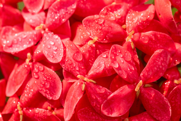Autumn Vibes: ‘Cold Dew’ Hits the Chinese Mainland Autumn_Vibes___Cold_Dew__Hits_the_Chinese_Mainland