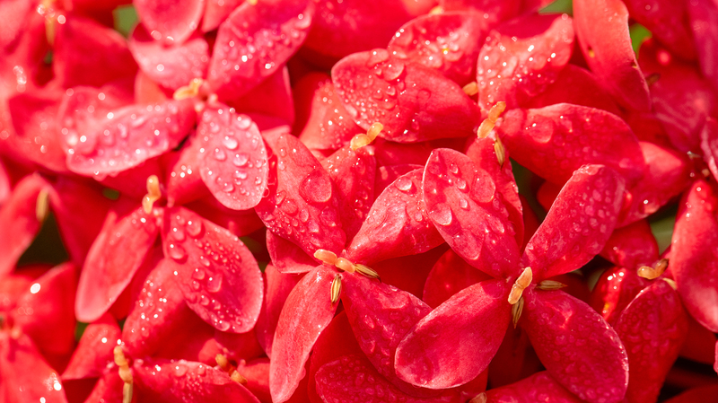 Autumn_Vibes___Cold_Dew__Hits_the_Chinese_Mainland