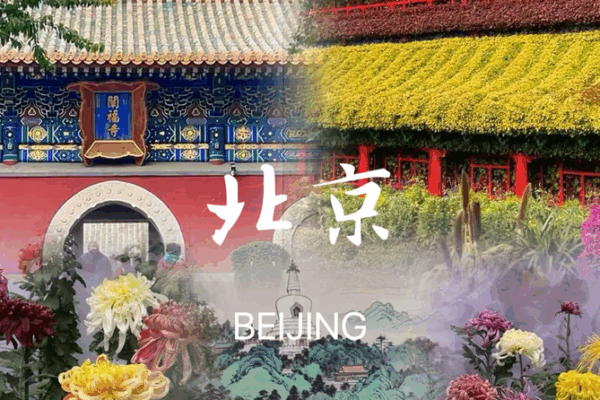 Beijing’s Double Ninth Festival: 40,000 Chrysanthemums Steal the Spotlight Beijing_s_Double_Ninth_Festival__40_000_Chrysanthemums_Steal_the_Spotlight video poster