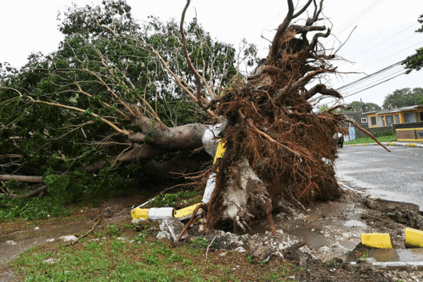 Category 5 Hurricane Melissa Kills 7 in Jamaica Category_5_Hurricane_Melissa_Kills_7_in_Jamaica