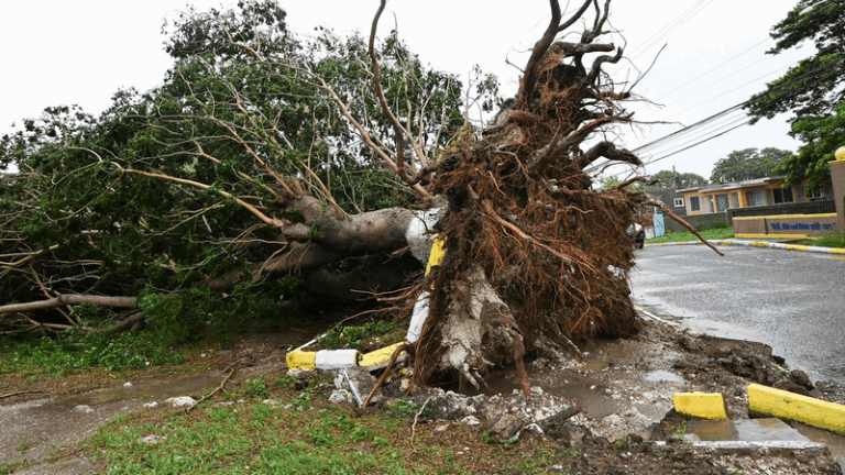 Category_5_Hurricane_Melissa_Kills_7_in_Jamaica