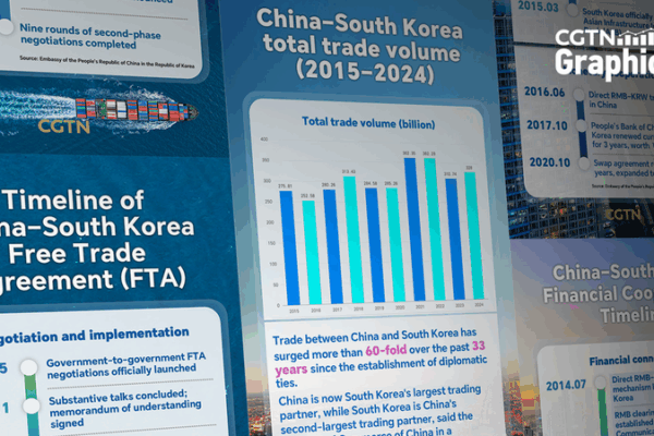 China-South Korea Trade Ties Strengthen on 10th FTA Anniversary China_South_Korea_Trade_Ties_Strengthen_on_10th_FTA_Anniversary