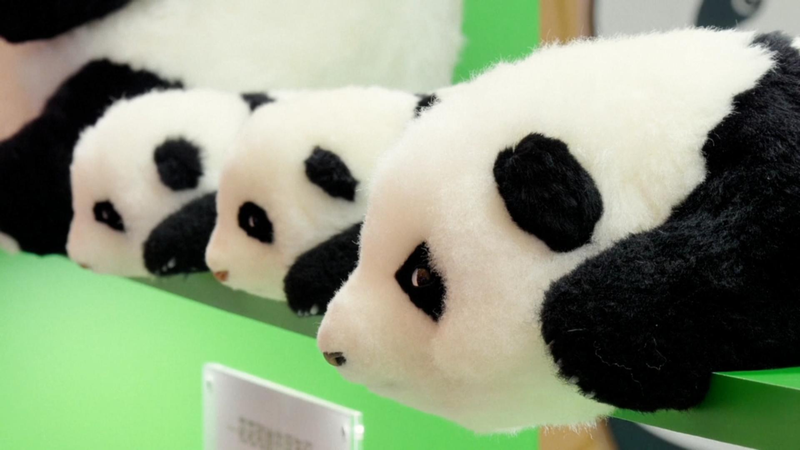 China_Toy_Expo_Sparks_Booming_IP_Licensing_Growth video poster