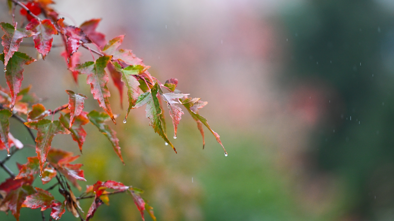 China_Warns_of_Heavy_Rainstorms___Strong_Winds__Stay_Safe_