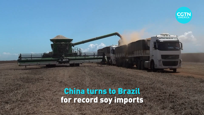 Chinese_Mainland_Turns_to_Brazil_for_Record_Soy_Imports_poster - Namaste Headlines Chinese_Mainland_Turns_to_Brazil_for_Record_Soy_Imports video poster
