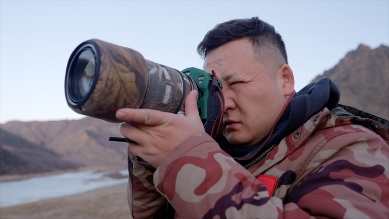 Snow Mountain Storytellers: Snow Leopards’ Wild Comeback in Xinjiang Snow Mountain Storytellers: Snow Leopards’ Wild Comeback in Xinjiang video poster