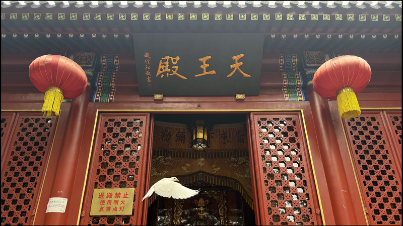 DCGLF8DGJ85FOJD7YPWV - Namaste Headlines Finding Calm in Qingdao’s Zhanshan Temple: Incense, Stained Glass & Sea Breeze