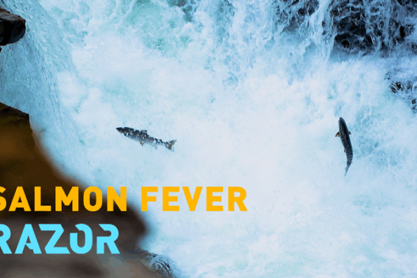 AI vs Invaders: Smart Traps Protect Norway’s Wild Salmon 🐟🤖 AI vs Invaders: Smart Traps Protect Norway's Wild Salmon 🐟🤖 video poster