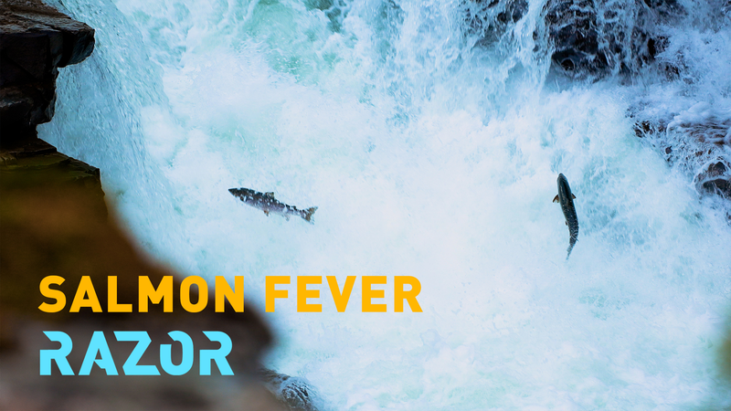 AI vs Invaders: Smart Traps Protect Norway's Wild Salmon 🐟🤖 video poster