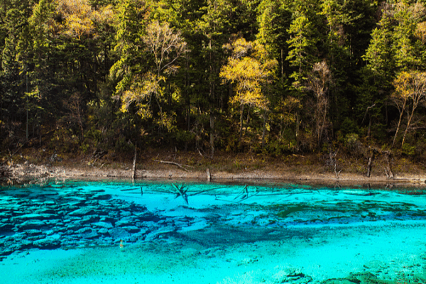 Discover Five-Color Lake: Jiuzhaigou’s Rainbow Gem Discover_Five_Color_Lake__Jiuzhaigou_s_Rainbow_Gem video poster