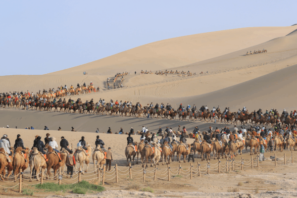 Dunhuang Desert Boom: Camel Adventures Soar During National Day Holiday Dunhuang_Desert_Boom__Camel_Adventures_Soar_During_National_Day_Holiday