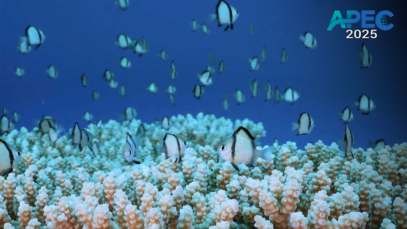 Asia-Pacific Joins Forces for Eco Action 🌏💚 Asia-Pacific Joins Forces for Eco Action 🌏💚