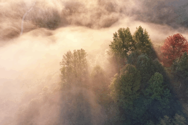 Jingde County: East China’s Green Paradise video poster