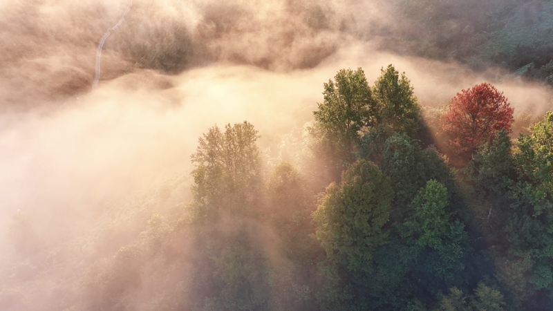 Jingde County: East China’s Green Paradise video poster